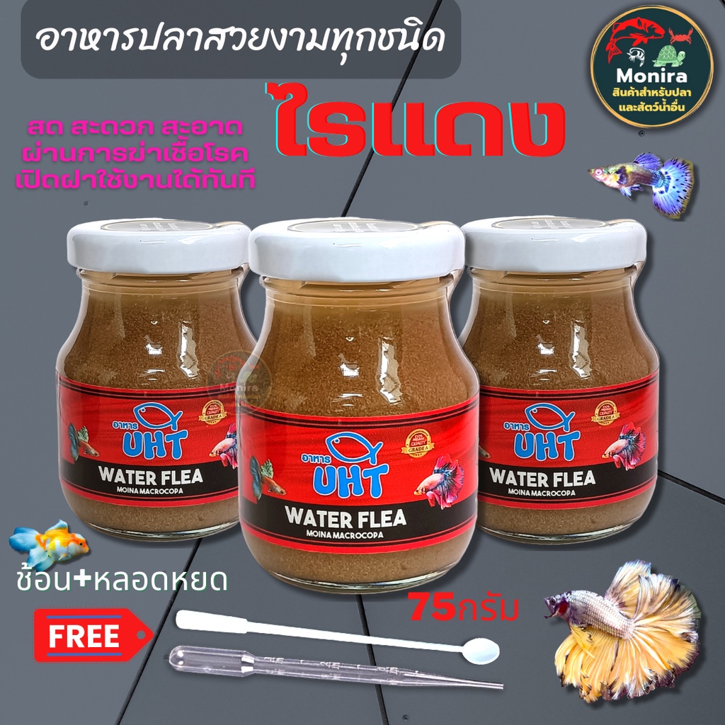 อาหารปลา ไรแดง UHT สำหรับ ปลาหางนกยูง ปลากัด ปลาสวยงาม