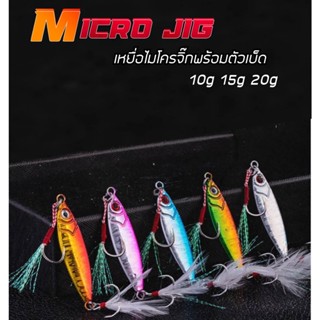 ไมโครจิ๊ก10กรัม 15กรัม 20กรัม 1ชิ้น เหยื่อไมโครจิ๊ก Micro jig เหยื่อตกปลาทะเล ไมโคจิ๊ก เหยื่อจิ๊ก ตกปลาเก๋า R5