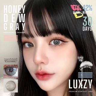 🔥คอนแทคเลนส์✨ขนาดมินิ✨ Honey Dew (Luxzylens) Brown / Gray / Green