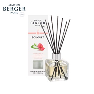 Maison berger,Bouquet Cube Hibiscus Love,ก้านกระจายความหอมกลิ่นกลิ่นฮิบิสคัสเลิฟ,reed diffuser,ก้านไม้หอม,น้ำหอมฝรั่งเศส