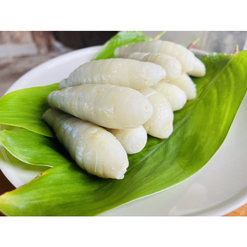 หัวมันสาคูขาวโบราณน้ำหนัก3กิโลกรัม(ไซด์รวม)