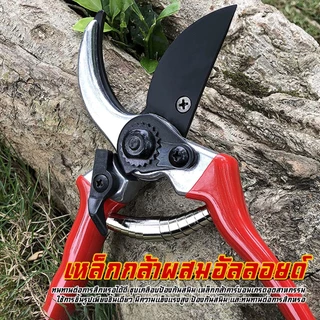 ✂️ สินค้าพร้อมส่ง✂️กรรไกรตัดกิ่งไม้ กรรไกรตัดหญ้า แต่งสวน กรรไกรตัดกิ่ง sk5#B-097