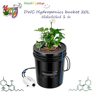 ถังไฮโดรโปนิกส์ 1 ถัง ชุดพร้อมปลูก DWC Hydroponics bucket 20L DWC ระบบไฮโดรโปนิกส์ Cloner ถังเดี่ยว Hydroponic ครบชุด