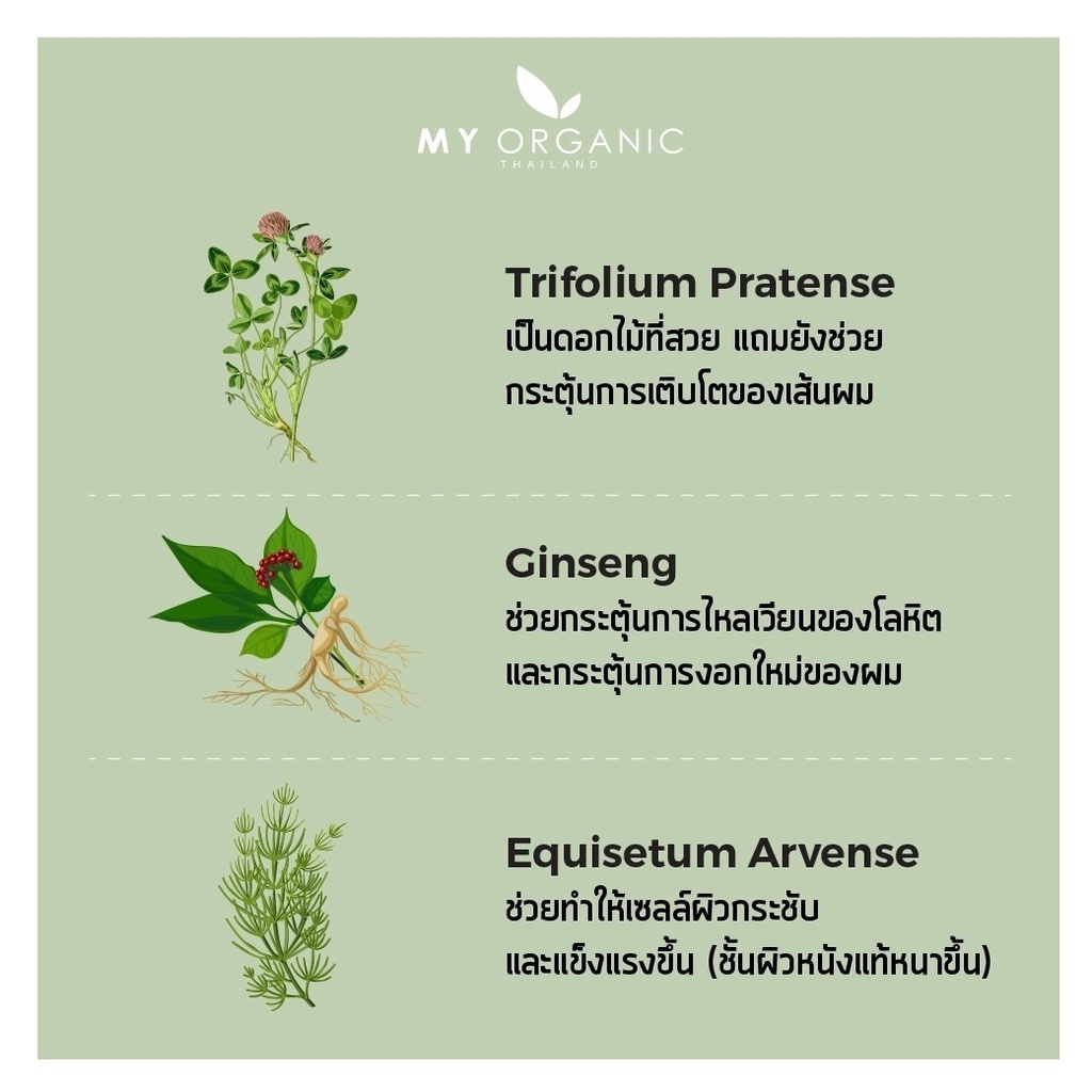 [สูตรใหม่เข้มข้น+โปรโมชั่น เดือนกุภาพันธ์ 2569] My Organic Hair Tonic แฮโทนิค ผมร่วง ผมบาง ของแท้100% - รูปที่ 5