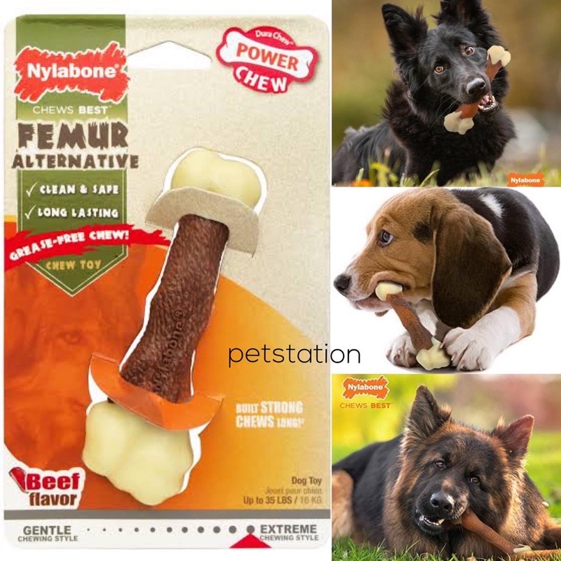 Nylabone Femur Alternative ของเล่นขัดฟัน