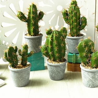 【AG】Fake Plant Decorative Beautiful Realistic Potted Plants Fake Desktop Cactus Landscape Decor for Home