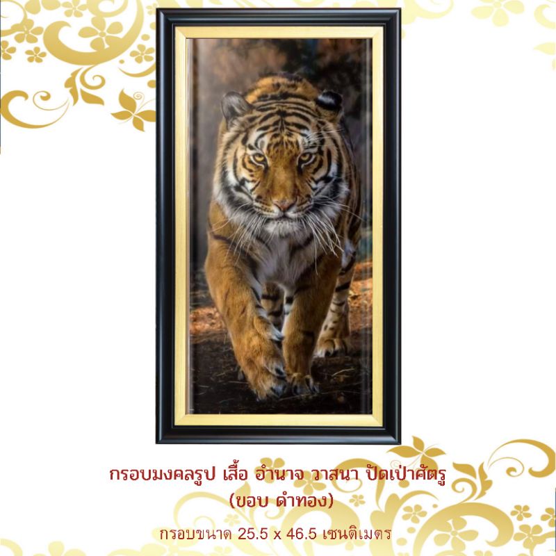 กรอบรูป มงคล เสือ ขอบดำ/ทอง เสริมฮวงจุ้ย อำนาจ วาสนา กรอบขนาด 25.5 x 46.5 เซนติเมตร