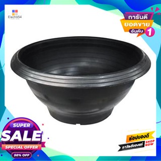 Black กระถางพลาสติกชวนชมดำ PNP ขนาด 11 นิ้ว สีดำ Black Adenium Plastic Flower Pot .Size 11 inches Black