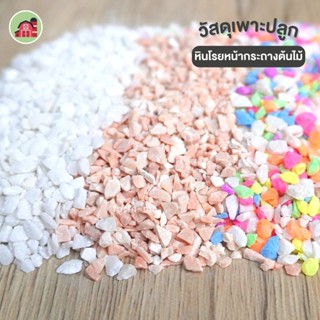 หินสีโรยหน้ากระถาง ขนาด 1 กิโลกรัม