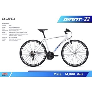 Giant Escape3 2022.21speed