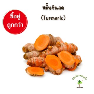 ขมิ้นชันสด (Turmeric) ปลอดสารพิษ