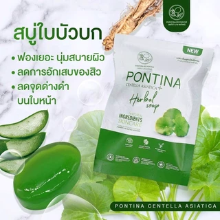 สบู่ใบบัวบกจิ๋วขนาด30 กรัม