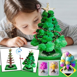 พร้อมส่ง ต้นคริสต์มาส ต้นไม้วิทยาศาสตร์ Magic Growing Christmas Tree ของขวัญ ของเล่นเด็ก คริสต์มาส