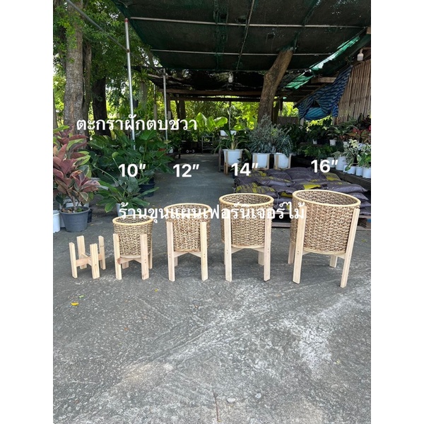 ตะกร้า ตะกร้าปลูกต้นไม้ ตะกร้าผักตบชวา ผสมหวายแท้ 🔥 งานสวยรับประกันคะ