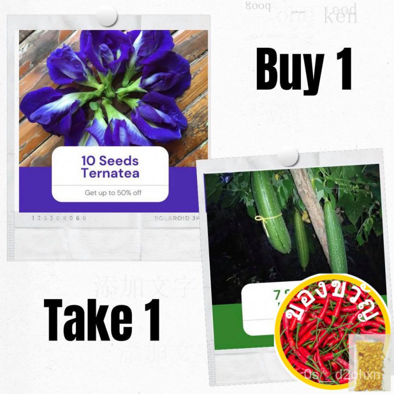 Sale Buy 1 Take 1 Seeds Blue Ternatea 10 Seeds And Patola 7 Seeds ∮ ดอกไม้/บ้านและสวน/หมวก/ เสื้อยืด