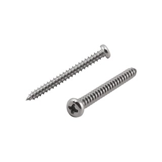 SELF-TAPPING สกรูเกลียวปล่อย TP DEXZON 4X40 มม. 10 ตัวSELF-TAPPING SCREWS TP DEXZON 4X40 มม. 10EA