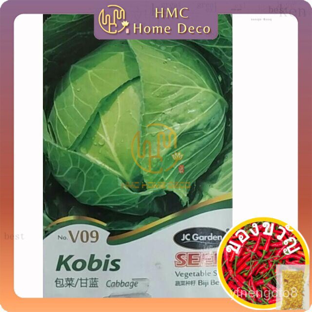 V09กะหล่ำปลี JC สวนผักเมล็ด kobis เมล็ด มะละกอ/หมวก/กางเกง/ H00M