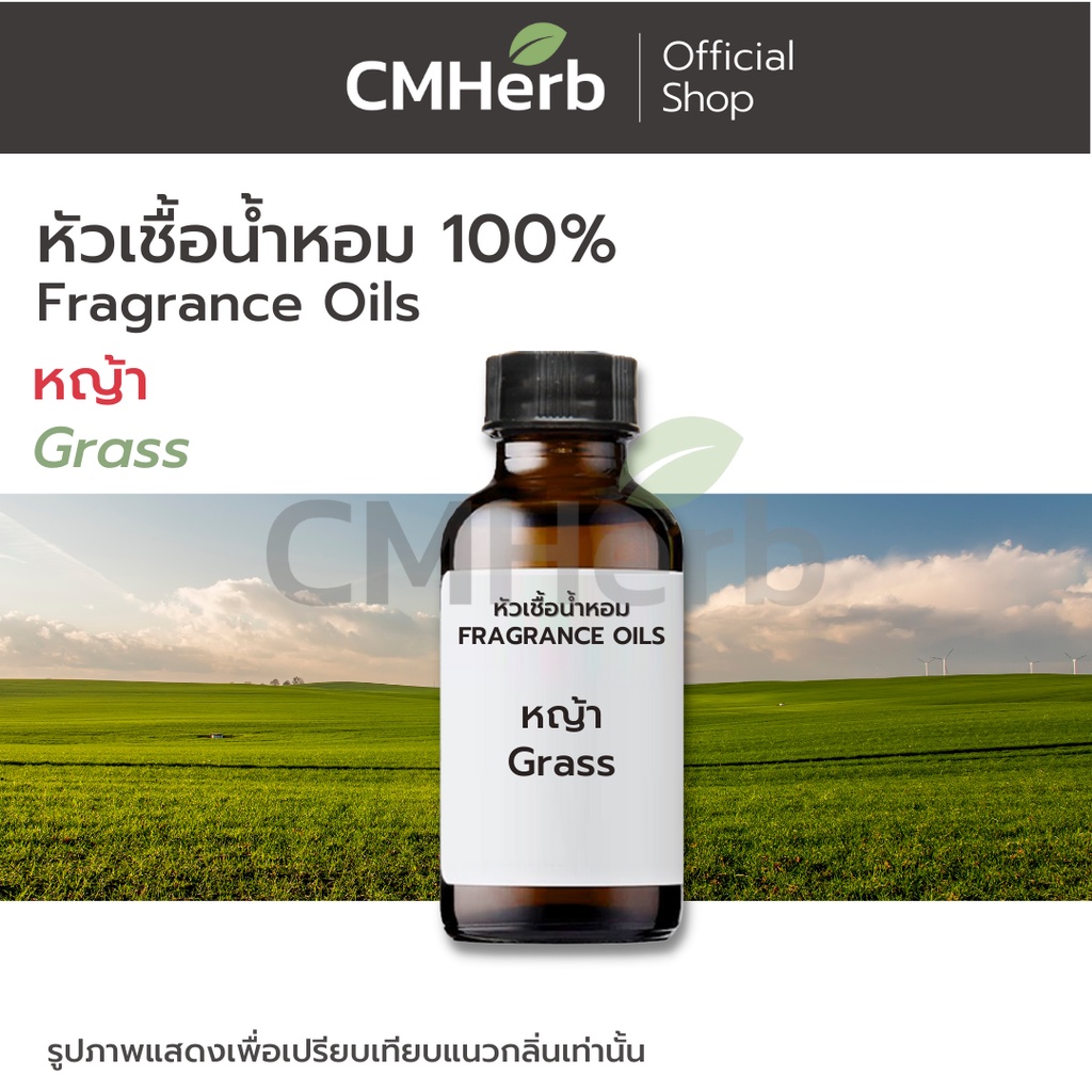 หัวเชื้อน้ำหอม กลิ่นหญ้า (Grass)