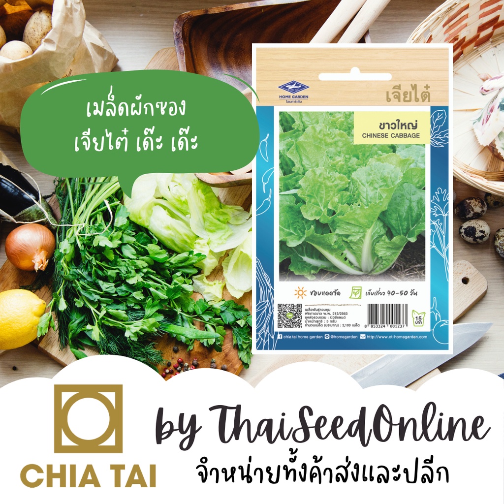 เจียไต๋ CTOP เมล็ดพันธุ์ ขาวใหญ่ ประมาณ 2100 เมล็ด ตราเจียไต๋ Chinese Cabbage