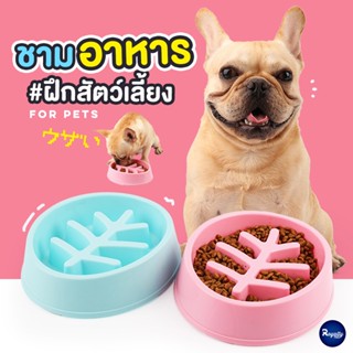 Royalty Pets ชามอาหารสัตว์เลี้ยง สำหรับฝึกการกินสุนัขที่ทานเร็ว อาหารสัตว์เลี้ยง อุปกรณ์สัตว์เลี้ยง สุนัข หมา แมว RY048