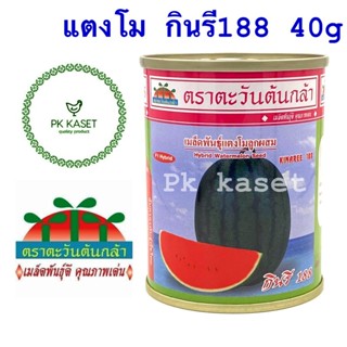 เมล็ดแตงโม กินรี 188 40g ตะวันต้นกล้า แตงโมลูกผสม