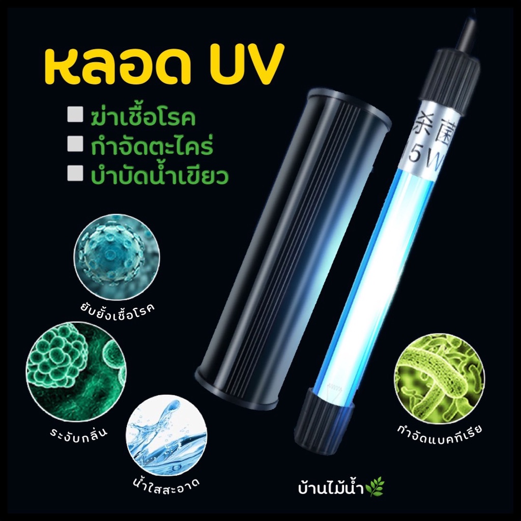 หลอด UV หลอดยูวี หลอดไฟUV ฆ่าเชื้อโรค กำจัดตะไคร่ บำบัดน้ำเขียว ตู้ปลา อ่างปลา บ่อปลา | บ้านไม้น้ำ🌿