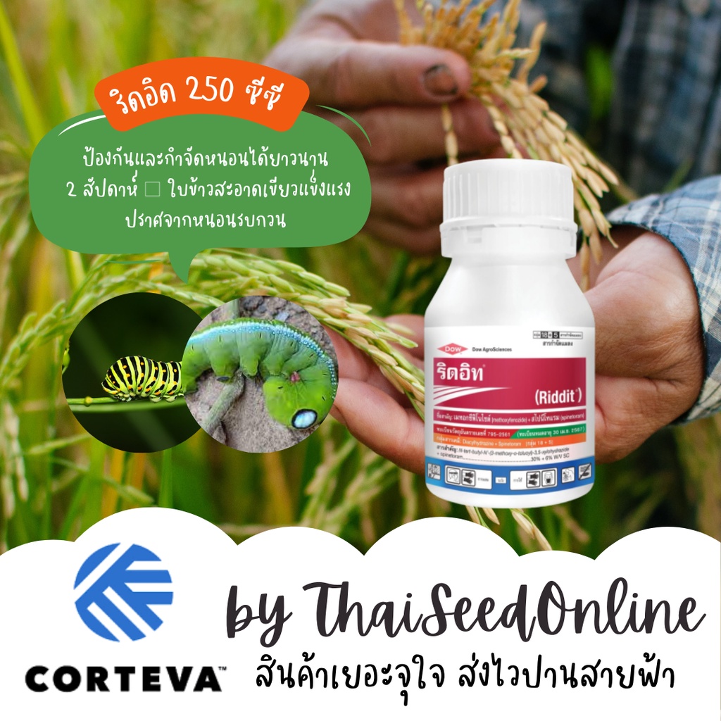 CTV ริดอิท (Riddit) 250 ml. เมทอกซีฟีโนไซด์ + สไปนีโทแรม ริดอิด 250 ซีซี ดาวน์อะโกรซายน์