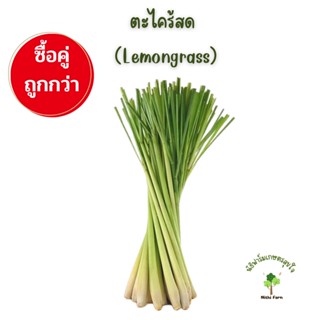 ตะไคร้สด  (Lemongrass) ปลอดสารพิษ