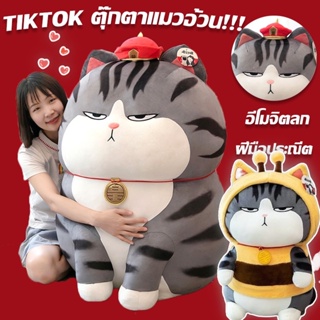 ตุ๊กตาแมวอ้วน TikTok ตุ๊กตาแมว My Royal Wan ตุ๊กตาตัวใหญ่