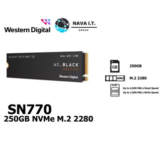 COINSคืน15%⚡FB9JMZV6⚡ 250GB SSD (เอสเอสดี) WD BLACK SN770 PCIE/NVME M.2 2280 (WDS250G3X0E) รับประกัน 5 ปี