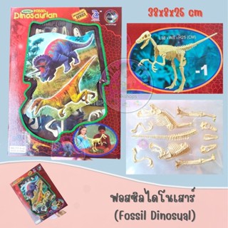 ฟอสซิลไดโนเสาร์ (Fossil Dinosual)