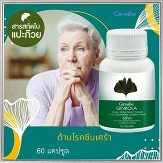 Saleของแท้🌺Giffarineจิงโกลา สารสกัดจากใบแปะก๊วย/จำนวน1กระปุก/รหัส41011/บรรจุ60แคปซูล😍Que