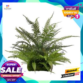 Artificial ใบไม้ประดิษฐ์ใบเฟิร์นผสมตั้งโต๊ะ รุ่น LYBG0290 สีเขียว Artificial Fern Leaves FONTE Model LYBG0290 Green