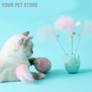 Your Pet Store Interactive Cat Feather Toy Funny 360 Degree Rotation Teaser ของเล่นพร้อมกระดิ่งสำหรับบ้านในร่ม