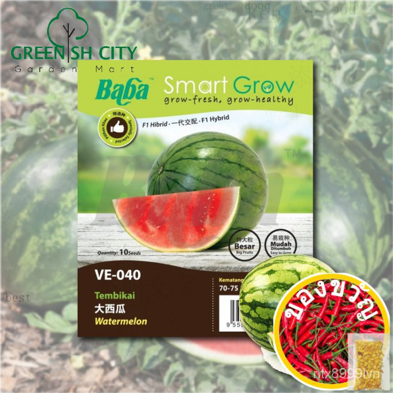 GNC-Baba Smart Growth SEED VE-040และแตงโม (แตงโม) 10เมล็ด vege ปลูกผักเมล็ดผัก ผักชี/อัญมณี/เด็ก/กระโปรง/ DLYV