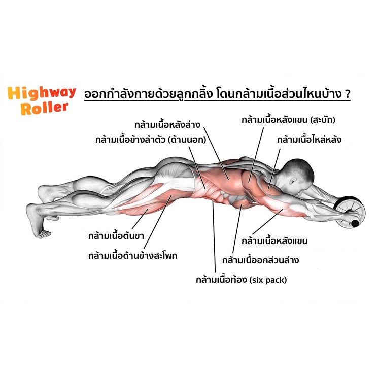 ลูกกลิ้งบริหารหน้าท้อง ล้อลูกปืน ลูกกลิ้งออกกำลังกาย ลูกกลิ้งกล้ามท้อง ลูกกลิ้ง [ล้อคู่ 10 นิ้วMP] - รูปที่ 7