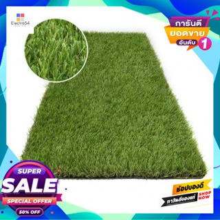 Artificial หญ้าเทียม รุ่น AmplePX2-2501G073-GB ขนาด 1 x 4 เมตร สีเขียวแซมน้ำตาล Artificial Grass FONTE Model AmplePX2-25