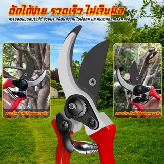 ✂️ สินค้าพร้อมส่ง✂️กรรไกรตัดกิ่งไม้ กรรไกรตัดหญ้า แต่งสวน กรรไกรตัดกิ่ง sk5#B-097