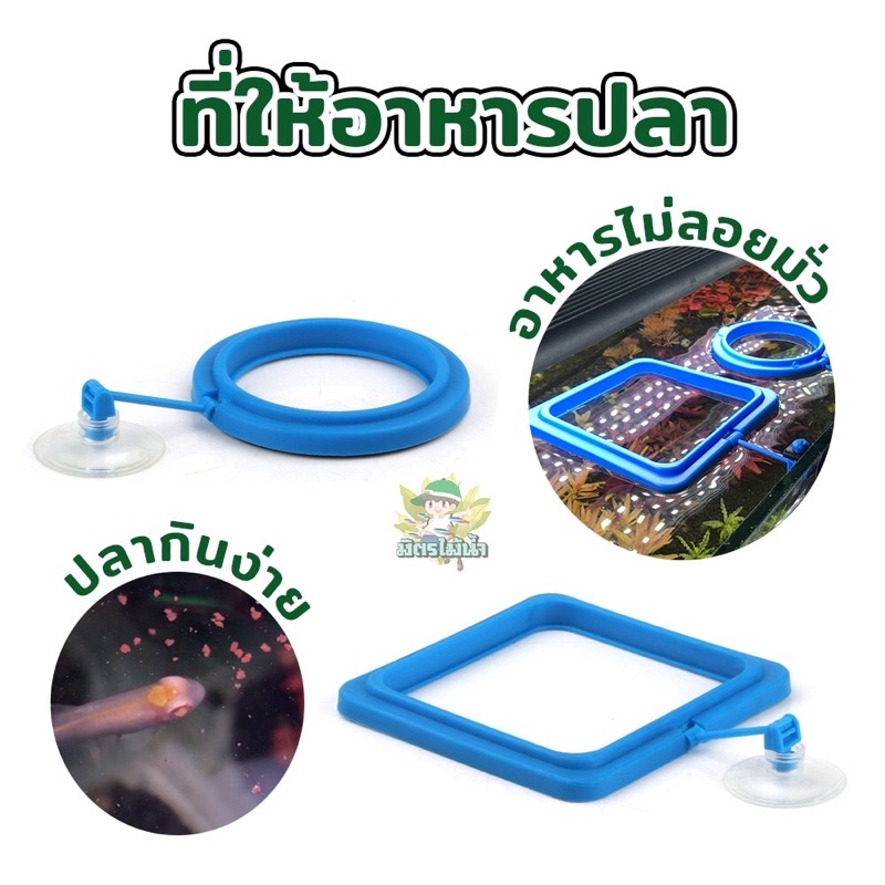 ห่วงให้อาหารปลา ที่กั้นอาหารปลา แหวนให้อาหารปลา