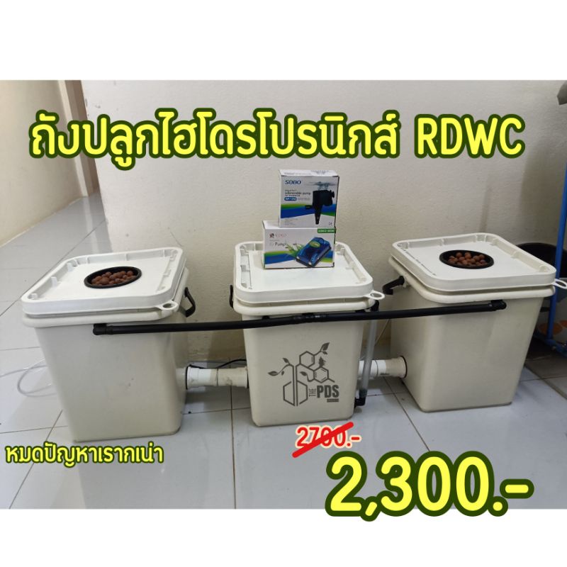 ถังปลูกไฮโดรโปรนิกส์ ชุดพร้อมปลูก ระบบน้ำวน RDWC  หมดปัญหารากเน่า ถังละ20ลิตร