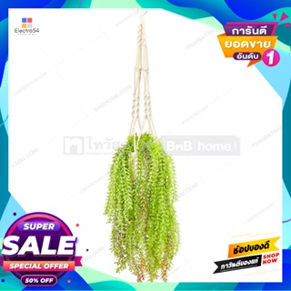 Artificial ใบเดฟประดิษฐ์พร้อมกระถางแขวน รุ่น 190447B สีเขียว Artificial Dave Leaves with Hanging Pot FONTE No.190447B Gr