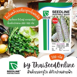 200 กรัม เมล็ดพันธุ์ ใหม่ล่าสุด😍 ข้าวโพดข้าวเหนียวหวาน ชูการ์เพอร์เพิล 200 กรัม ตราซีดไลน์ Corn