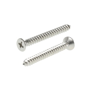 SELF-TAPPING สกรูเกลียวปล่อย TF 4X40 มม. 10 ตัวSELF-TAPPING SCREW TF 4X40MM 10PCS