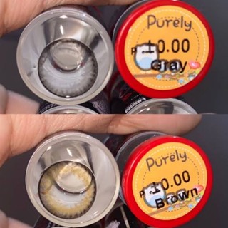 คอนแทคเลนส์ รุ่น Purely ยี่ห้อ Pitchylens ตาโต มีสี เทา ตาล สายตาปกติ