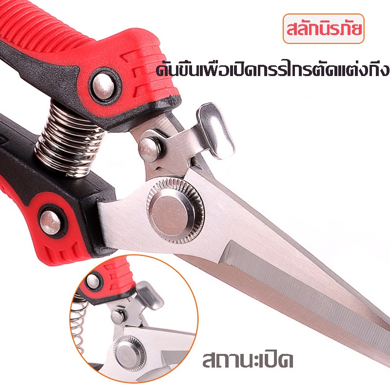 พร้อมส่ง🚕 กรรไกรตัดกิ่ง คีมตัดกิ่งไม้ กรรไกรตัดดอกไม้ ตกแต่งกิ่ง ปลายแหลม กรรไกรสแตนเลส เครื่องมือจัดทำสวน - รูปที่ 2
