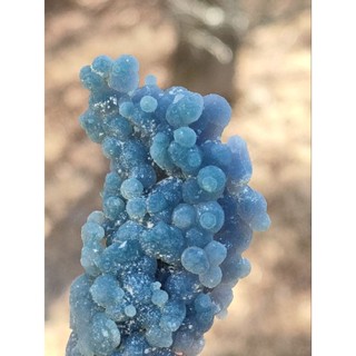 🍇 เกรฟอาเกต ( Grape Agate ) 💙 เกรฟอาเกตเป็นคาลโดนีชนิดหนึ่งที่ทรงคล้ายๆองุ่น พุ่มเล็กๆ น่ารักๆ 🍇  🌿
