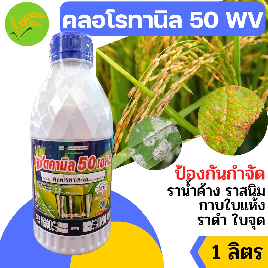 [แบบน้ำ] คลอโรทาโลนิล 50 % แซดดานิล สารป้องกันกำจัดโรคพืช เชื้อรา โรคใบจุด โรคราน้ำค้าง โรคราสนิม โรคกุ้งแห้ง โรคตากบ