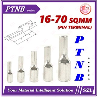 หางปลาเสียบ, หางหนู, หางปลาเข็มเปลือย Pin Terminal PTN16-13, PTN25-15, PTN35-20, PTN50-20, PTN70-25**【5, 10pcs/Pack】**