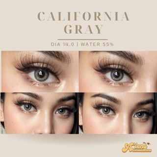 California gray | คอนแทคเลนส์รายเดือน ค่าอมน้ำ 55%