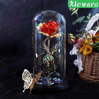 [Kloware] Fityle Rose in Glass โคมไฟ LED รูปดอกกุหลาบ ผีเสื้อ พร้อมไฟ สําหรับวันวาเลนไทน์ ผู้หญิง งานแต่งงาน ตกแต่งบ้าน